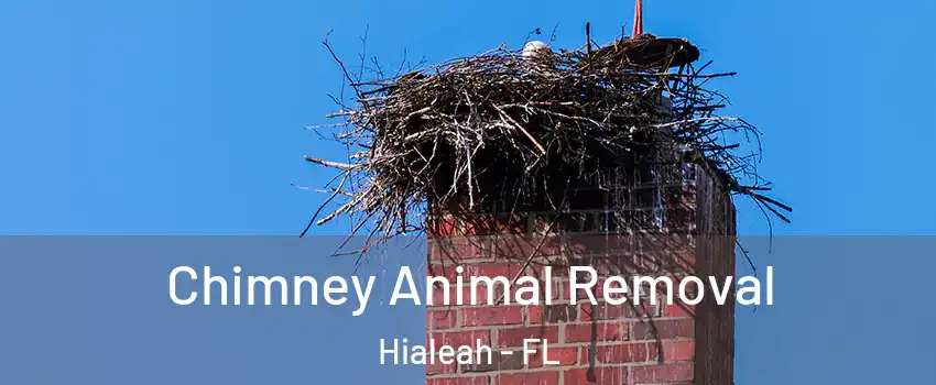 Chimney Animal Removal Hialeah - FL