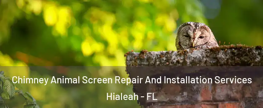  Chimney Animal Screen Repair And Installation Services Hialeah - FL