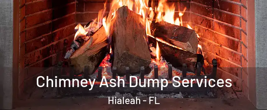  Chimney Ash Dump Services Hialeah - FL