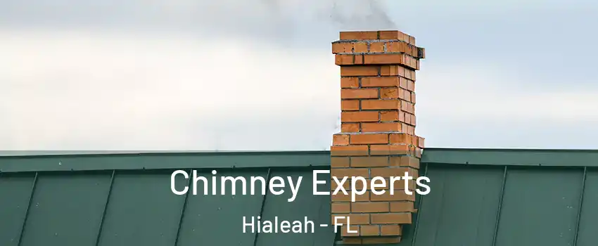 Chimney Experts Hialeah - FL