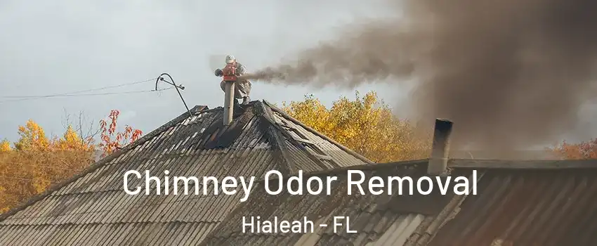  Chimney Odor Removal Hialeah - FL