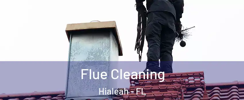  Flue Cleaning Hialeah - FL