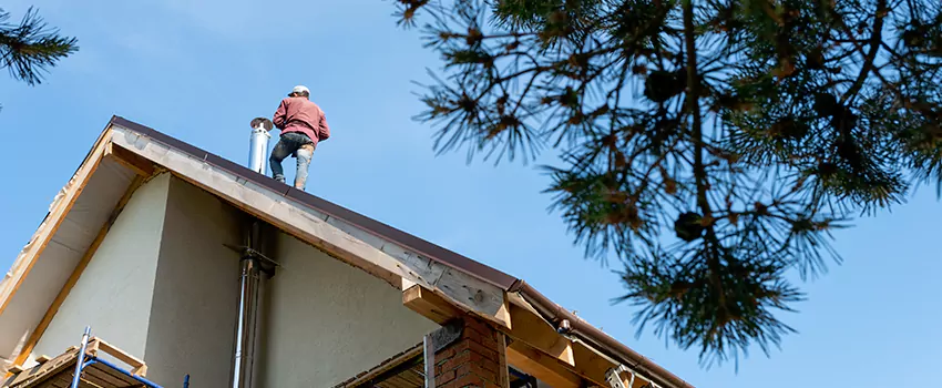 Birds Removal Contractors from Chimney in Hialeah, FL
