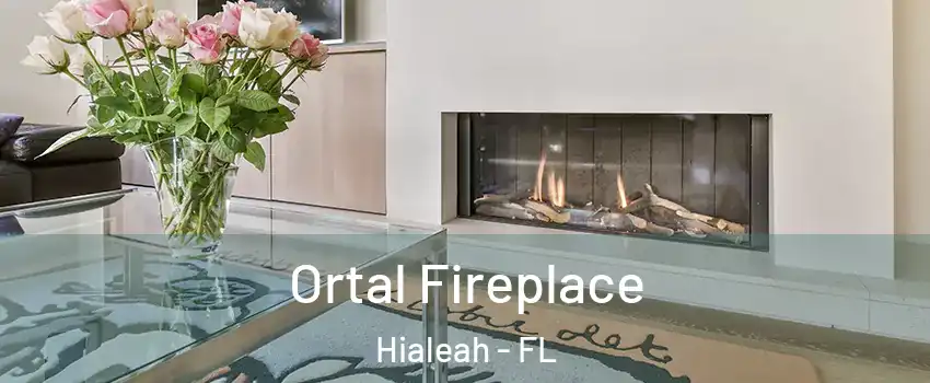  Ortal Fireplace Hialeah - FL